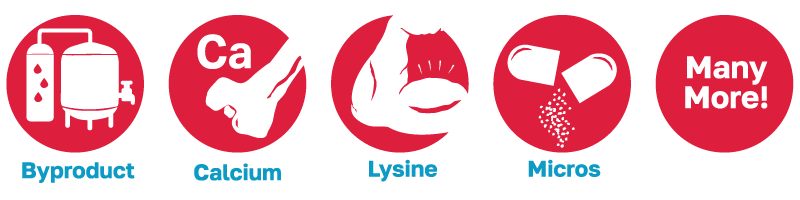 LX800 & MX800 features